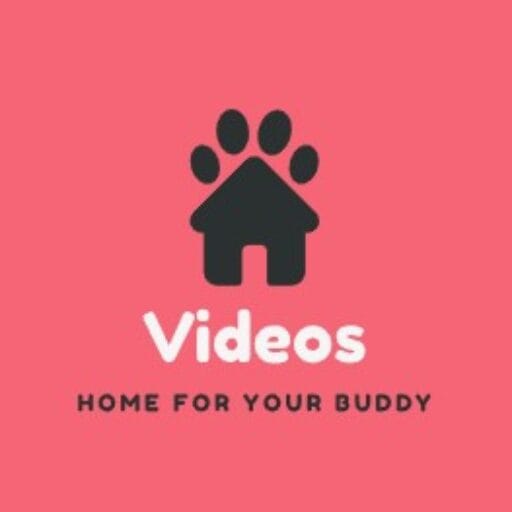Video Smp Bokep-terbaru